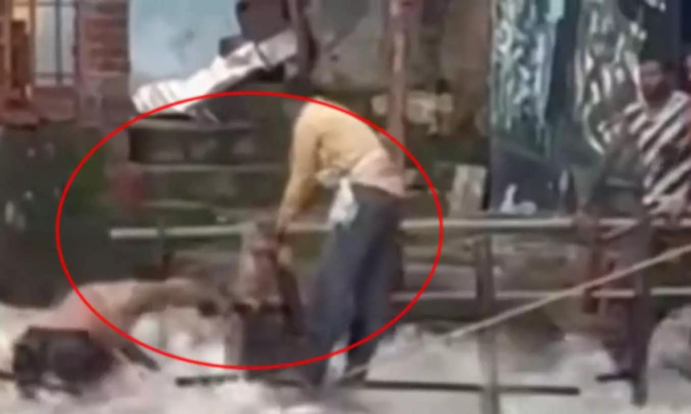 मौत को दावत या लापरवाही? उफनते नरहरा जलप्रपात में फंसे दो युवक, रेलिंग पकड़कर बची जान