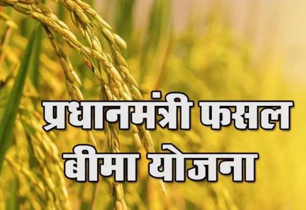 किसानों के लिए बड़ी राहत! फसल बीमा की तारीख बढ़ी, अब 14 अगस्त तक मिलेगा मौका