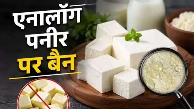 पनीर के दाम ने लगाई छलांग! एनालॉग पनीर पर बैन के बाद अब जेब पर पड़ेगा सीधा असर, जानिए कितने बढ़ गए भाव पनीर के दाम ने लगाई छलांग! एनालॉग पनीर पर बैन के बाद अब जेब पर पड़ेगा सीधा असर, जानिए कितने बढ़ गए भाव