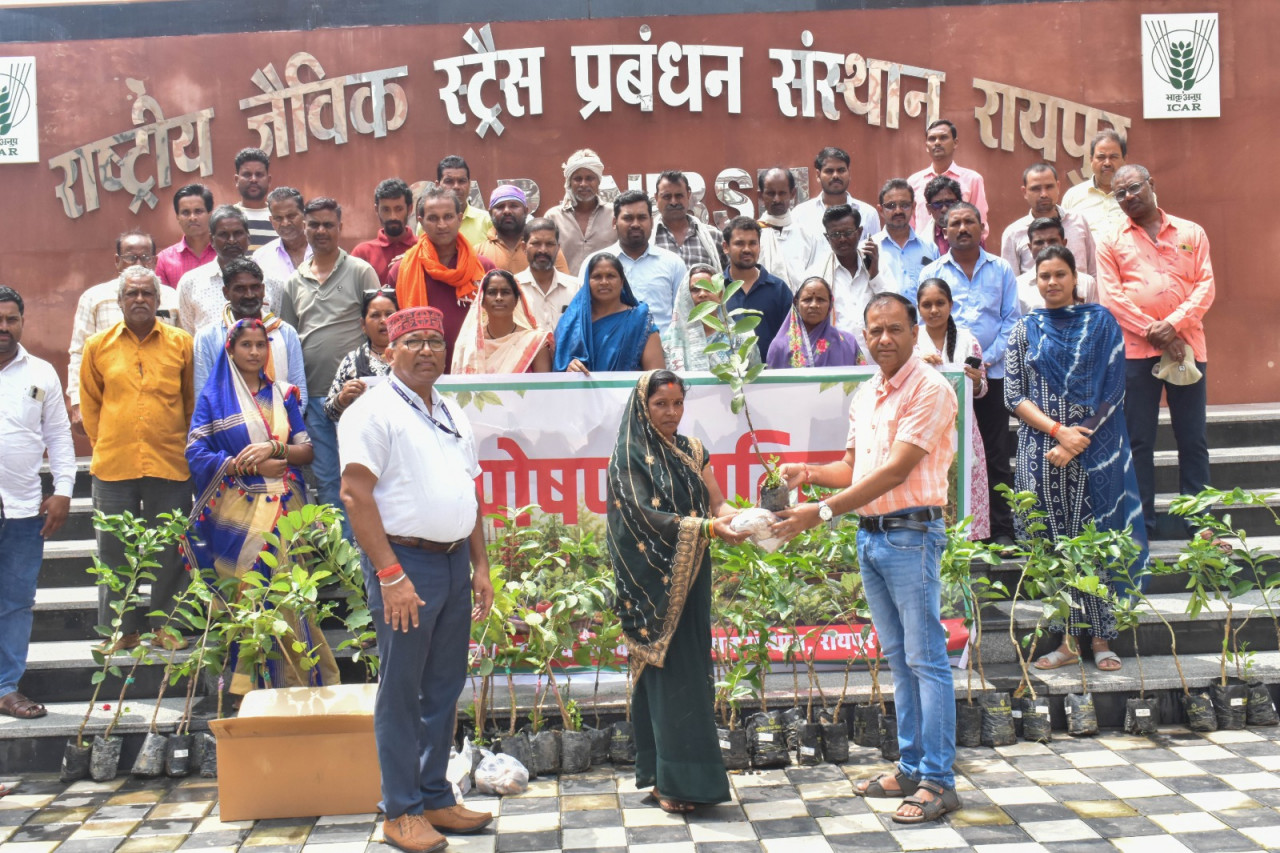 घर की छोटी सी ‘पोषण वाटिका’ बदलेगी परिवार की सेहत! 62 किसानों को मिला प्रशिक्षण, मुफ्त में बांटे गए 18 तरह की सब्जियों के बीज