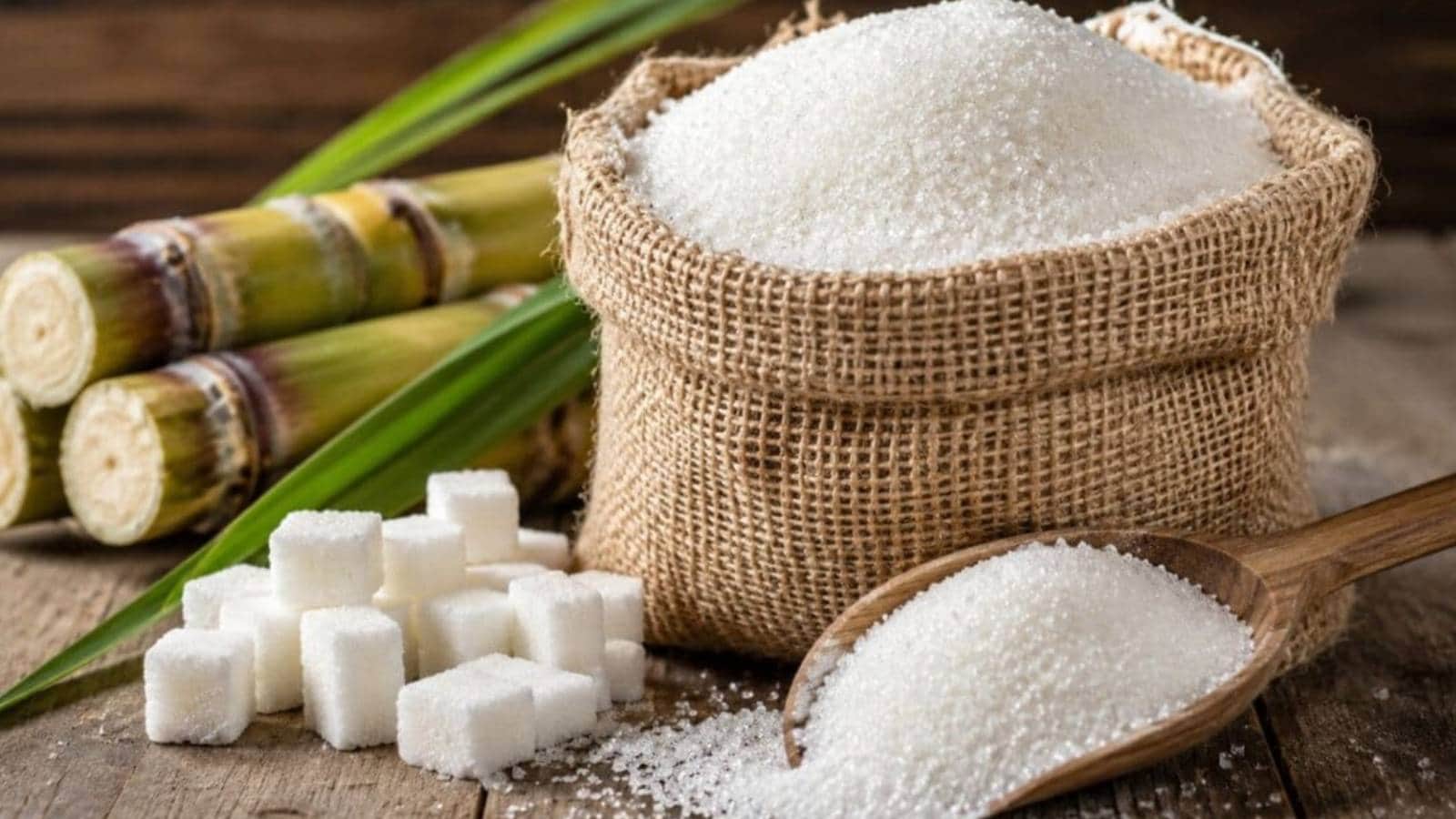 क्या आपकी कार की वजह से बढ़ रहे चीनी के दाम? सरकार ने साफ किया एथेनॉल का पूरा फंडा, जानिए असली वजह क्या आपकी कार की वजह से बढ़ रहे चीनी के दाम? सरकार ने साफ किया एथेनॉल का पूरा फंडा, जानिए असली वजह