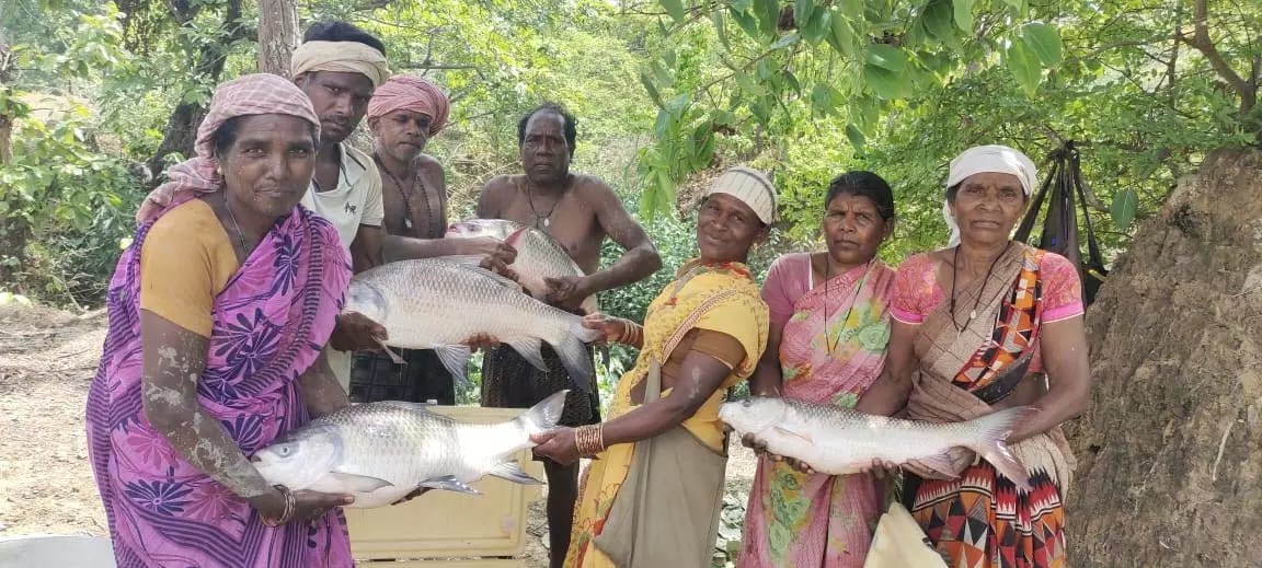 तालाब में मछली पालन से बदली महिलाओं की किस्मत! ‘विष्णु भैया’ की पहल बनी कमाई का सहारा, लाखों में पहुंची सालाना आय