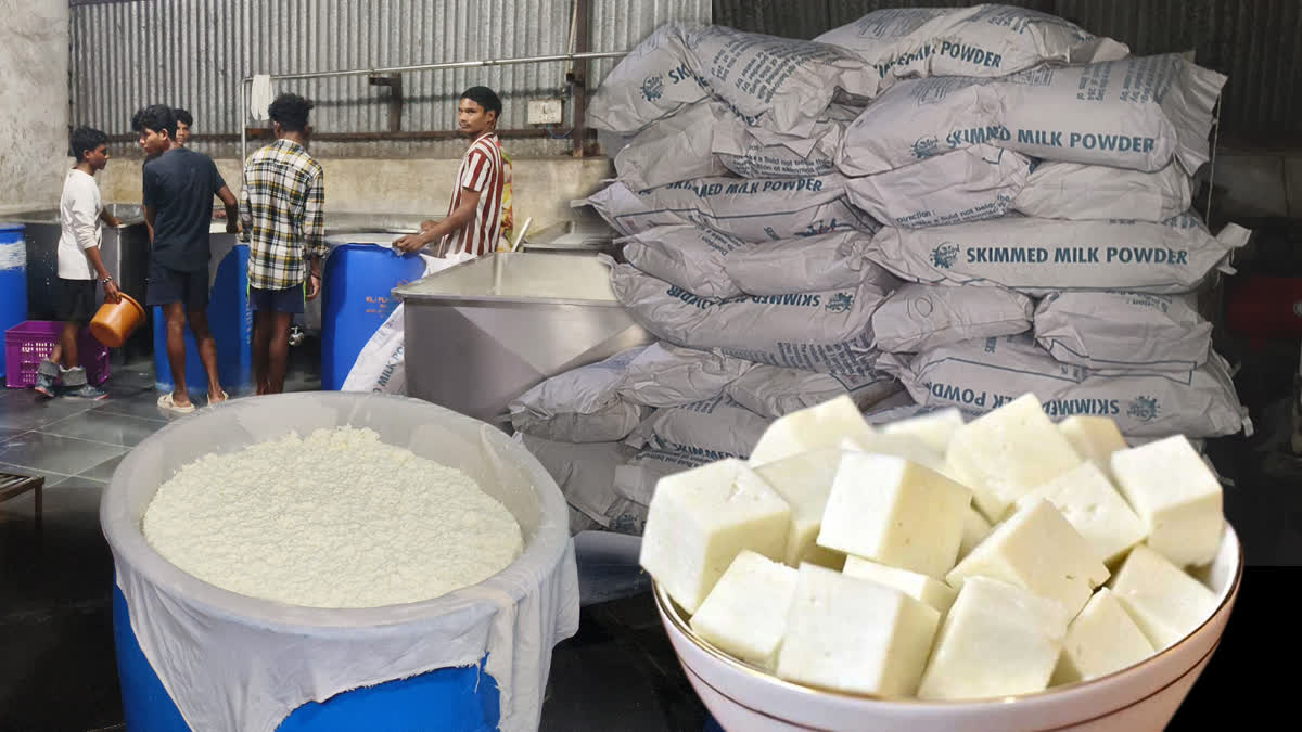 Paneer Factory Raid: पनीर समझकर खा रहे थे कुछ और! जांच में निकला प्रतिबंधित एनालॉग पनीर, फैक्ट्री सील… 300 किलो माल JCB से दफन
