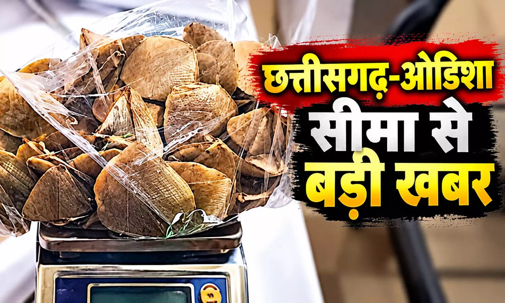 तीन दिन, तीन ऑपरेशन और खुल गया तस्करी का बड़ा राज! छत्तीसगढ़-ओडिशा बॉर्डर से 8 तस्कर गिरफ्तार, ड्रोन ने भी खोली छिपे नेटवर्क की पोल