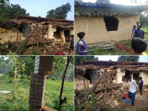 एक रात में उजड़ गया आशियाना, 12 हाथियों ने मचाई तबाही! उदयपुर में पहले से 15 हाथियों की निगरानी, बढ़ा मानव-हाथी संघर्ष का खतरा