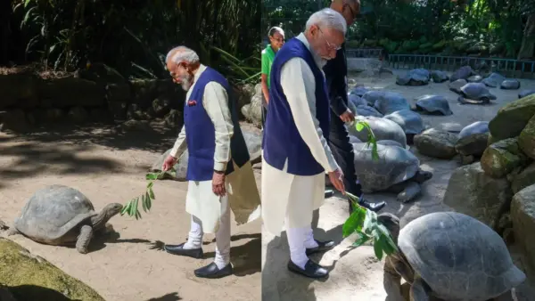 194 साल का कछुआ जोनाथन कैसे अब तक जिंदा है? वैज्ञानिकों को मिले लंबी उम्र के चौंकाने वाले सुराग, क्या इंसान भी कभी जी सकेंगे 200 साल!
